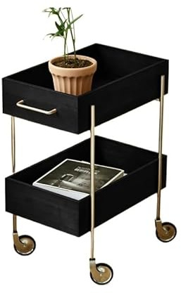 GENHAOSAN Mesa de centro Carro de almacenamiento de mesa auxiliar de acero inoxidable ESS, carro auxiliar de madera de doble capa, portátil, sala de estar, sofá, mesa auxiliar, sala de estar (B)