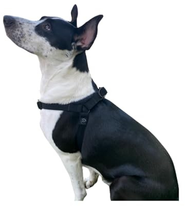 Pettorina per Cane Piccola, Media, Grande Taglia regolabile, anti-tiraggio, tipo giubbotto, imbracatura a Y. Comfort. (Grande)