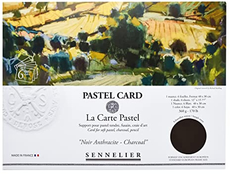 Sennelier La Carte pastellkort pochette, 40 cm x 28 cm, monokromatisk kol