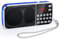 PRUNUS J-189 FM/UKW Kleines Radio mit Bluetooth, Kofferradio mit Heavy Bass Lautsprechern, TF/USB/AUX-Player, Digital Radio mit Akku Wiederaufladbare, LED-Taschenlampe(Blau)