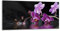 decorwelt Küchenrückwand Spritzschutz aus Glas 80x40 cm Wandschutz Herd Spüle Küchenspritzschutz Fliesenschutz Fliesenspiegel Küche Dekoglas Orchidee Lila