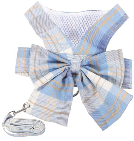 Toyvian 1 Ensemble Harnais pour Chien Petit avec Laisse Gilet Confortable et pour Promenade Accessoire et Pratique