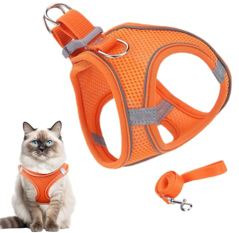 Renchey Harnais De Promenade pour Chat | Harnais Sécurisé Ajustable pour Chats | pour Randonnée Camping Dressage Extérieur Taille S M L