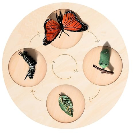 Gatuida Piatto Educativo Ciclo di Vita Animale con Scomparti per Montessori Gioco Didattico per Apprendimento Precoce e Sviluppo Immaginativo Regalo Compleanno e Natale