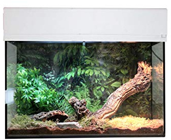 Lucky Reptile - Kit de démarrage araignée & Scorpion 50 cm - Kit Complet araignées et Scorpions - Kit Terrarium de Haute qualité avec Accessoires pour débutants – Kit de démarrage en Blanc