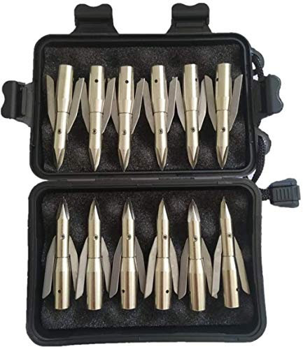 ZZUUS 12Pcs Bow Fishing Arrowheads Hunting Fish Broadheads Stainless Steel Tip Point 2 Expandable Blade Arrowheads with Box