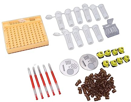 Masyrt Sistema di allevamento della regina di plastica, apicoltura, set di colpi, strumenti di apicoltura, accessori