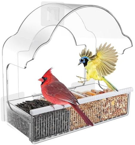 Mangeoire pour oiseaux, avec mangeoire amovible - Distributeur de nourriture pour colibri transparent résistant aux intempéries - En acrylique - Pour observer les animaux sauvages dans le jardin, sur