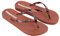 Ipanema Damen ANAT Connect FEM Flipflop, Brown/Clear, 43 EU