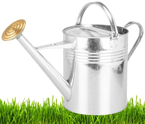 Trendi® Galvanized Metal Steel Watering Can with 9L Capacity (2 Gallons) and Brass Rose Spout