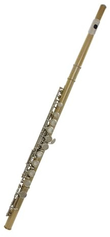 Flöjt Flöjt Mässingsinstrument Guld