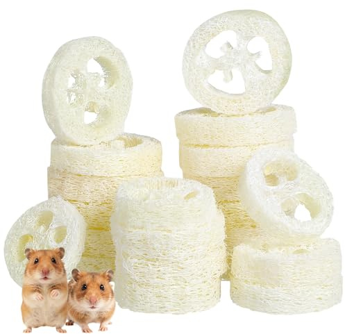 KESYOO Giocattolo Masticabile per Criceto 20 Pezzi di Lufa Naturale per la Cura Dentale, Set Salutare per Piccoli Roditori, Forniture per Animali Domestici, Accessorio per Gabbia