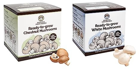 Merryhill Mushrooms - Fresh Chestnut And White Mushroom Growing Kits | Gardening Gifts for Women, Men & Kids | Grow Your Own Kits | Delicious to Eat | Mushroom Gifts (Chestnut And White Mushroom Kit)
