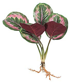 Artificial Arrowroot Green Plants, Fake Potted Bonsai Ornaments, Plastic Bamboo Home Garden Decoration (6 Peacock Arrowroot Leaves)