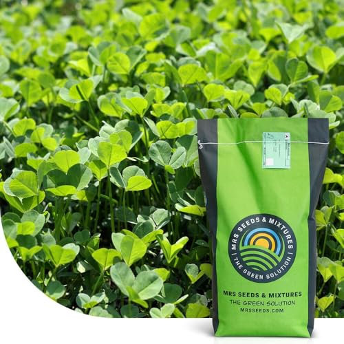 Micro trèfle | 250g - 75 m² | Résistance à la sécheresse | Pour une pelouse extra dense et verte sans mousse | Une libération lente et continue d’azote | Faible besoin en entretien