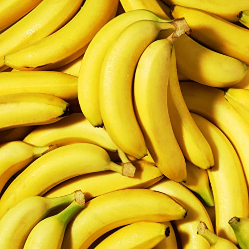 semi di banana - resistenti decorazione del soggiorno serre balcone in vaso rialzata giardino sul 30pcs