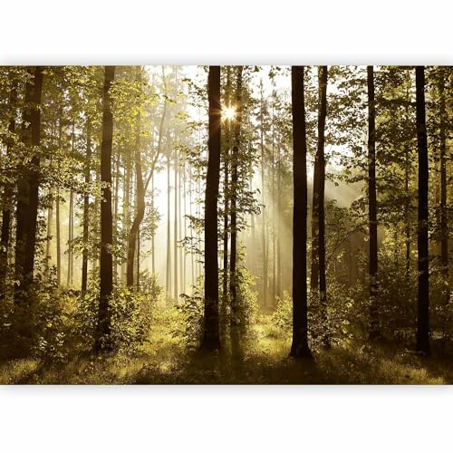 murando Photo Wallpaper 450x315 cm Non-Woven Premium Art Print Fleece Wall | Mural Decoration Poster Picture Design Modern Landscape natural forest trees