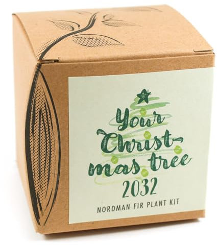 Your Christmas Tree 2031 - Kit per coltivazione Your Christmas Tree 2031