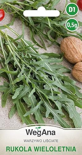 WegAna Roquette Diplotaxis Erucoides Graines 0,5g, Roquette vivace pour salade, Graines de légumes robustes, Graines de légumes, Graines de culture, Graines pour la serre