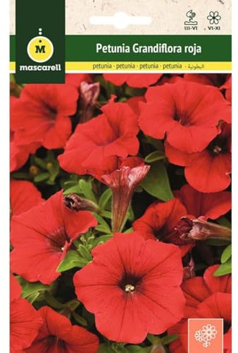 Mascarell Semillas, PETUNIA GRANDIFLORA ROJA, Semillas Flores Exterior para Decoración, 0,2 Gramos