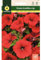 Mascarell Semillas, PETUNIA GRANDIFLORA ROJA, Semillas Flores Exterior para Decoración, 0,2 Gramos