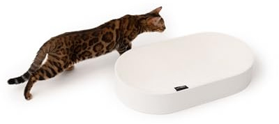 LucyBalu® Scratchbed Rund klössäng för katt i kartong I Vit