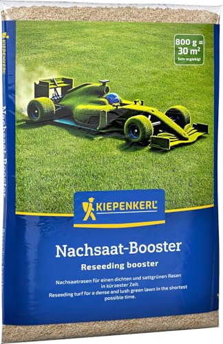 Kiepenkerl Nachsaat-Booster 654006 - Schnelle Rasenregeneration für eine dichte, gesunde Rasennarbe - Ideal für Lückenfüller und stark beanspruchte Flächen - 0,8 kg für 30 qm