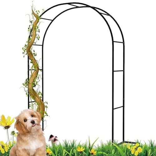 Arco da giardino in metallo per piante rampicanti, grande padiglione esterno con base per matrimoni, pergolato in acciaio nero (dimensioni: 350 cm di larghezza x 220 cm di altezza)