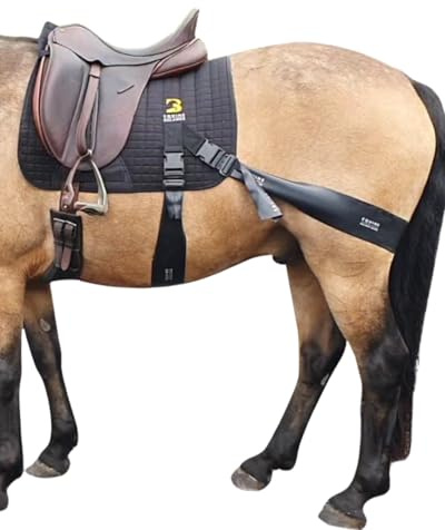 Equine Band System – Dressage Core Conditioner Training Aiuto per cavalli con fasce fisioterapiche professionali e sottosella dressage Equine Balance Bands.