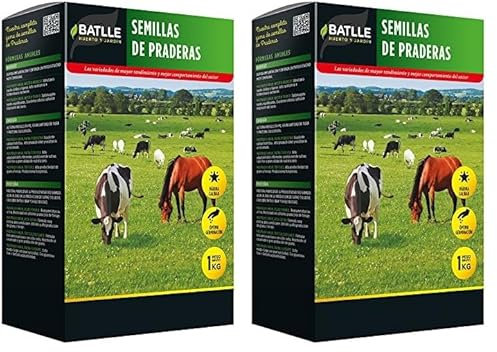 Semillas Batlle 043770K1 R.G. Wester Vallivert, 15x8.5x3 cm (Confezione da 2)