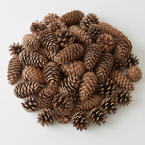 KRYMXAR 100 piñas de pino para decoración, piñas, para manualidades, piñas naturales para árbol de Navidad, decoración de mesa y manualidades, 100 unidades