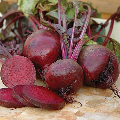 Beetroot Vegetable Seeds Grow Your Own Beet Crops for Garden, Allotment & Greenhouse Beetroot Boltardy Approx 300 Seeds 1x Finished Packet