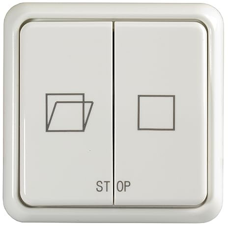 Roto ZEL RWA LT84 - Pulsador de ventilación para sistemas de extracción de humos, color blanco alpino