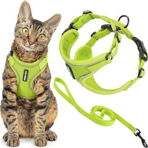 Best Pet Supplies Voyager Ensemble Harnais et Laisse Anti-Fugue pour Chat avec Coutures réfléchissantes, poignée néoprène, 1,5 m, pour Chats de Petite, Moyenne et Grande Taille, Citron Vert, Taille S