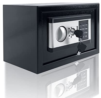 NAIZY Mini Tresor für Zuhause 12L Tresor Feuerfest Wasserdicht Elektro Safe mit Batteriebox & Sicherheitsschlüssel & Alarmfunktionen Stahlsafe Möbeltresor Minisafe, Schwarz+Silber