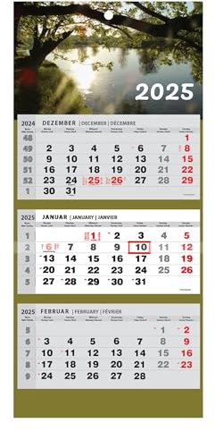 JAROGRAF Wandkalender 2026 – 3-Monats-Kalender mit praktischem Wandplaner für effiziente Jahresplanung, Feiertage, Schulferien und wichtige Termine (Bäume) Dreimonatskalender
