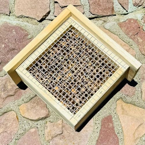 DARLUX Holz Insektenhotel L Wildbienen-Nisthilfe Rechteckiges Insektenhaus Naturbelassen mit Schutzgitter