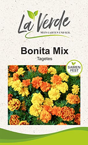 Tagetes Bonita Mix Blumensamen