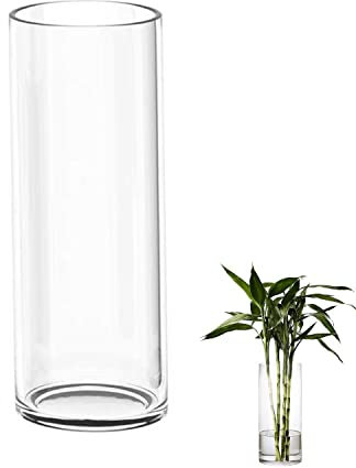 TSKDKIT Large Glass Vase for Flowers 30cm Glass Cylinder Vase Clear Vases for Living Room Modern Large Vases 30 x 10cm