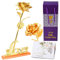 MaNeaz Rose Eternelle Rose Plaqué Or 24K Rose Eternelle Romantique Avec Support Incluye Tarjeta De Felicitación Cadeau Pour Maman/Femme/Amie/Elle Saint Valentin Fête Des Mères Mariage