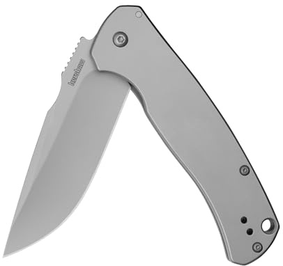 Kershaw Scour Pocket Knife, Matte Gray Design, 3.3 Inch Stainless Steel Drop Point Blade, EDC with Assisted Opening, Reversible Pocketclip, Everyday Carry Pocket Knife for Men and Women
