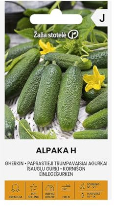 Zalia Stotele | Graines de concombres ALPAKA H | Graines de légumes et jardin | Hybride autogame, précoce, croissance rapide | 1 paquet