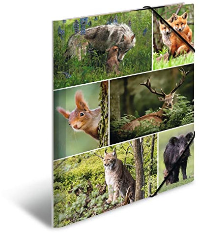 HERMA Sammelmappe A4 Waldtiere, Kinder Eckspanner-Mappe aus Pappe mit Tier Motiv, Gummizug, Innenklappen und Innendruck für Jungen und Mädchen