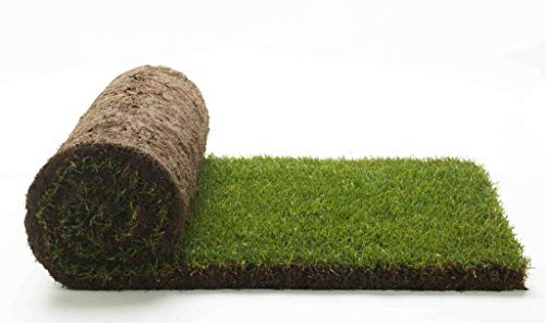 Vero Prato Pronto a Rotoli (50 rotoli) per una copertura totale di 25mq 1^ Scelta in Erba Naturale, NO Sintetica Sintetico per Giardino