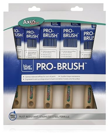 Axus dekor blå Pro-Brush 5 delar penselset