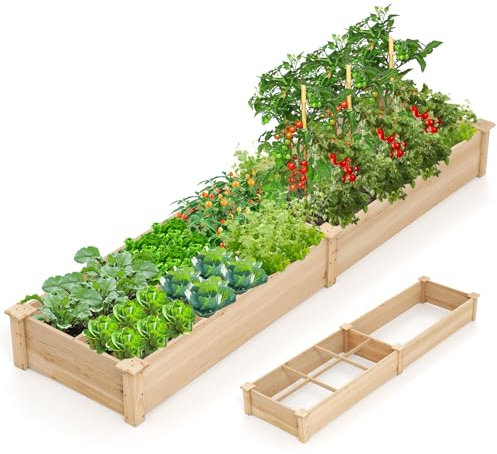 COSTWAY Raised Garden Bed, Wooden Planter Box Kit with 2 Planter Boxes and Dividers for Climbing Vines Flower Herb Vegetable Fruit, Rectangular Plant Growing Box Container, 228 x 62 x 25 cm