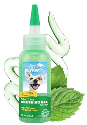 TropiClean Oral Care Brushing Gel for Dogs & Cats| Dog Toothpaste | Pet Dental Gel | Dog Teeth Cleaning Use with Pet Toothbrush | 2 oz