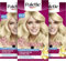 Palette Intensiv Creme Coloration L6-0/100 Ultrablond (3 x 125 ml), Permanenter Aufheller für bis zu 6 Stufen Aufhellung und strahlende, blonde Haarfarbe, mit Anti-Gelbstich-Effekt