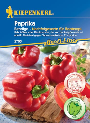 Kiepenkerl Profi-Line Blockpaprikasamen Bendigo, F1 2753 - Resistente Paprikasamen - Inhalt für 7 Korn - Gemüsesamen, Samen Gemüse, Gemüsepflanzen, Saatgut