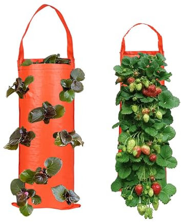 Agrdeed 2 sacchetti per piante da appendere, con fragola, verticali, con 8 fori, per fragole, erbe, fiori (arancione)